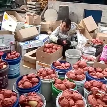 通货热销中