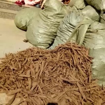 白芍熟狗头片