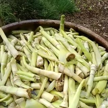 绿芦笋5毫米以上