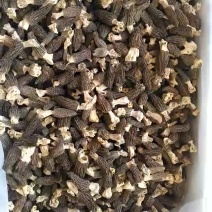 羊肚菌中上通货