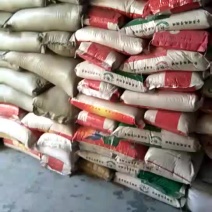 糯稻谷零受1.52每斤批发1.49每个