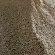 蹦虾（勾虾）麻辣加工，炸货，小吃添加