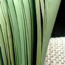 粽叶