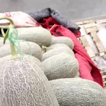 西周密