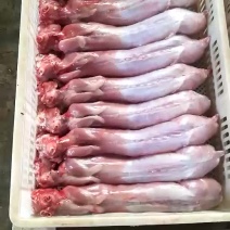 保鲜兔肉