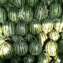 大甜王