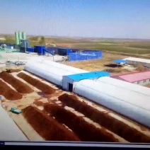 双孢菇鲜品大量有货，欢迎大家下单购买，非诚勿扰