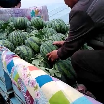 甜王