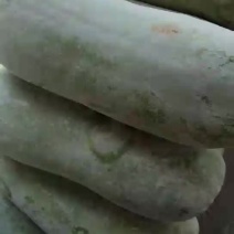 白皮冬瓜