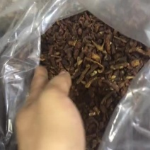蒲公英根蒲公英茶