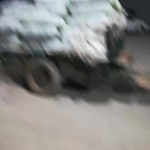 白东瓜