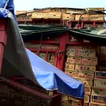 看清楚！我们是市场代卖，不是产地，价格只是象征