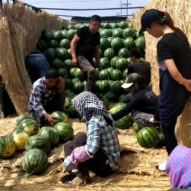 新民最好货