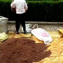 大红袍花椒特级干