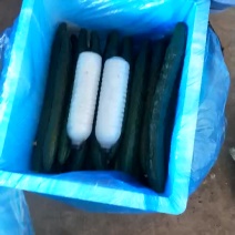 黄瓜