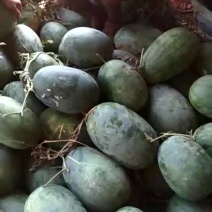 龙卷风大量供应