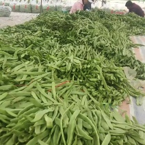 扁豆角