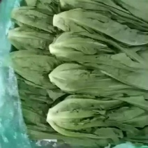 油麦菜