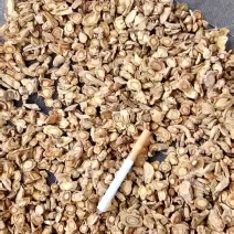河北地产防风