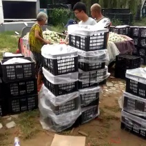 红香酥，