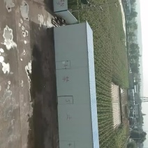 甘肃金兰高原夏菜专业合作社