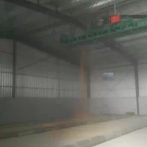 稻谷新稻黄花粘各种杂交稻优质稻