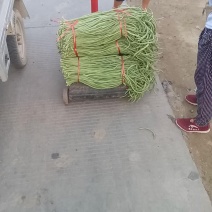 豆角