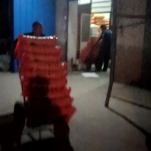 状元贡小米