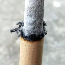李时珍故里正宗蕲春艾条支持各尺寸定制