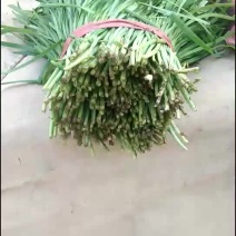 韭菜。