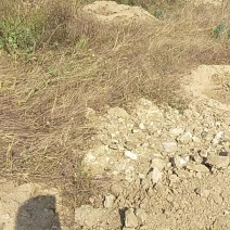 宅基地出租，