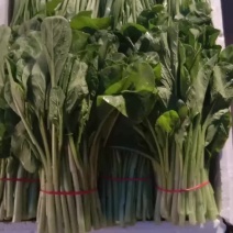 菜心