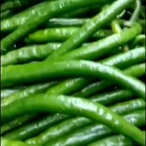 云南保山蔬菜