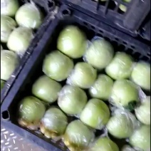 王林苹果，四两以上上不封顶，地面，库存，大量有货，