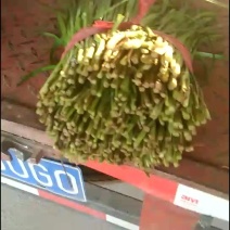 韭菜