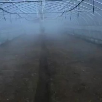 微喷系列大棚微喷