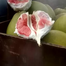 红心柚高品次果以上市。