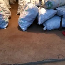 大葛根假一赔十。欢迎各位订购