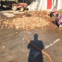 纯红薯粉条第一步