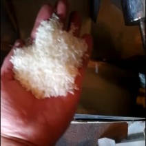 长粒香大米