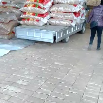 新疆核桃大量现货