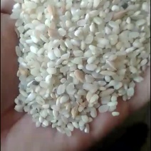 黄米
