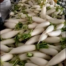 萝卜
