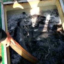 青鱼8至10，10至20