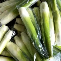 茭白