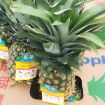 热带水果