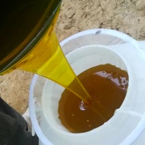土蜂百花蜜2斤包邮保证质量假一赔十可视频看货量