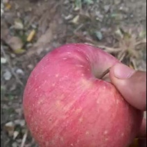 精品高质量高品质商品苹果