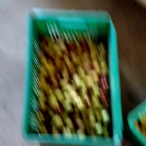 沾化冬枣