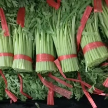 茼蒿